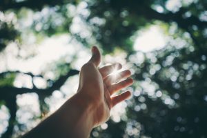 fingers-hand-reaching-1654698 fingers-hand-reaching-1654698